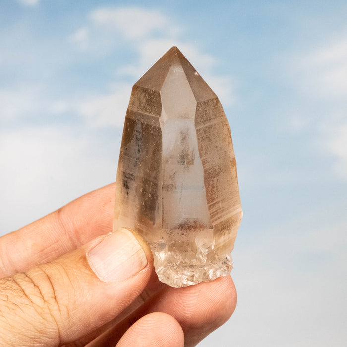 Smoky Lemurian Seed Quartz Crystal 83 g 61x36mm