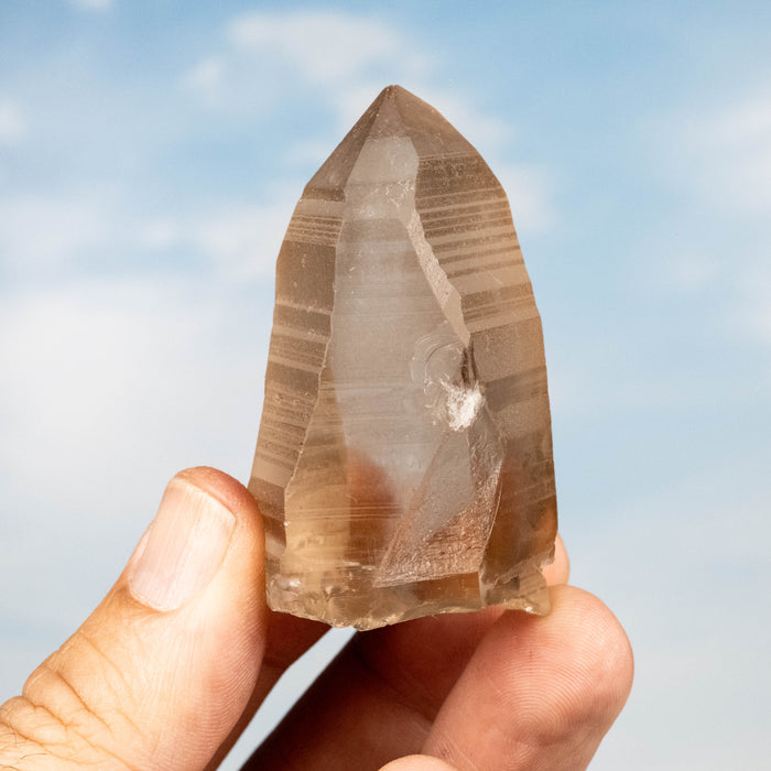 Smoky Lemurian Seed Quartz Crystal 75 g 59x34mm