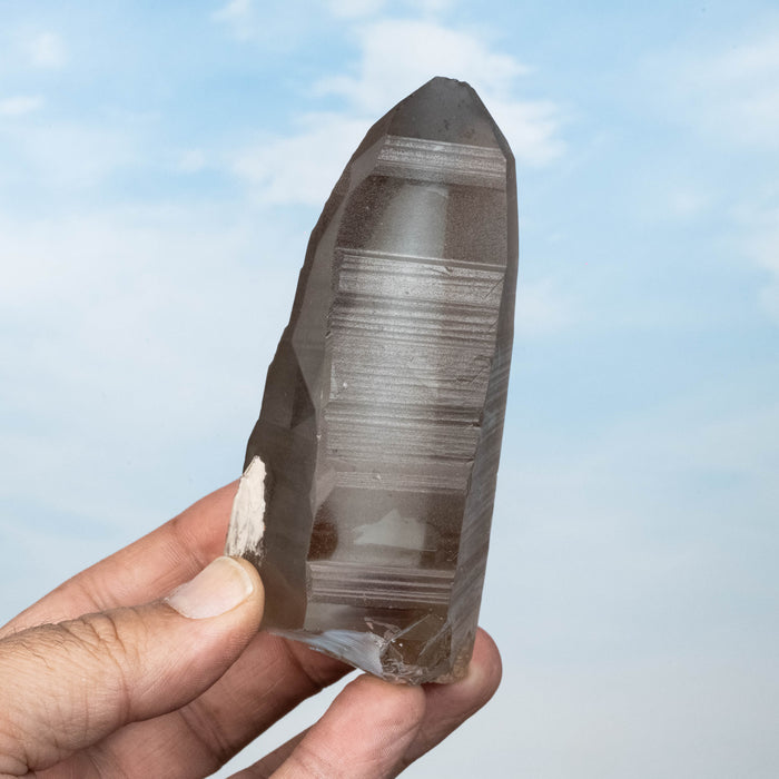 Smoky Lemurian Seed Quartz Crystal 317 g 113x51mm