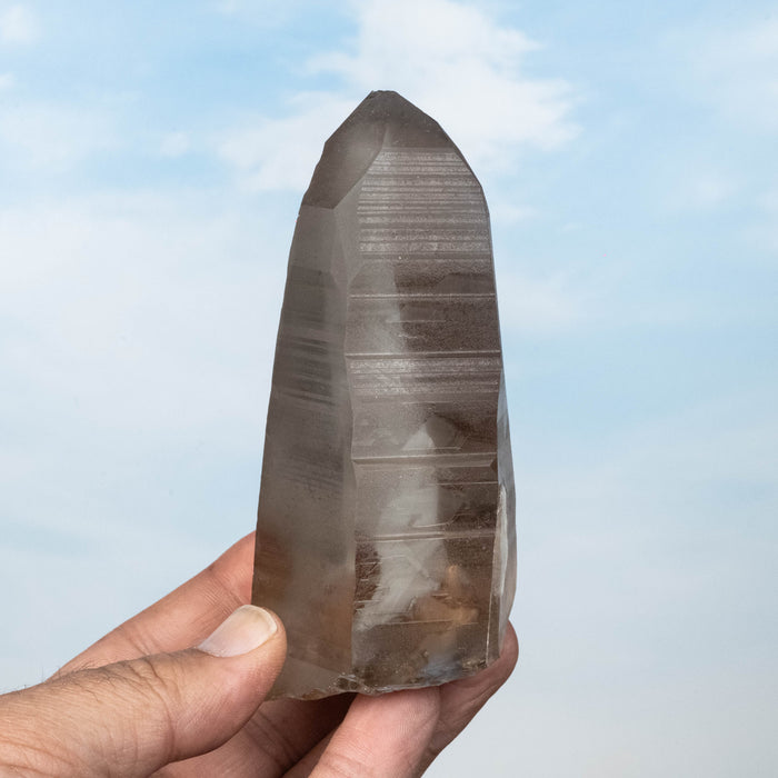 Smoky Lemurian Seed Quartz Crystal 317 g 113x51mm