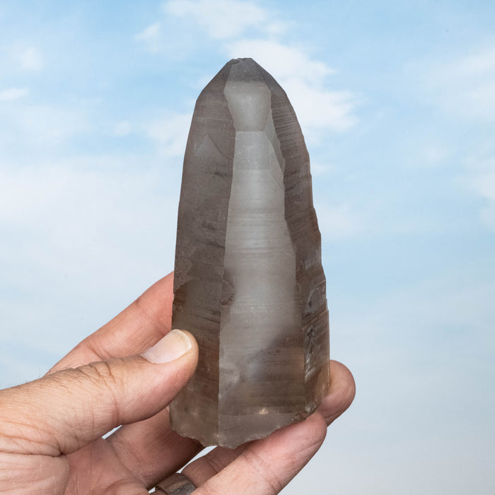 Smoky Lemurian Seed Quartz Crystal 317 g 113x51mm