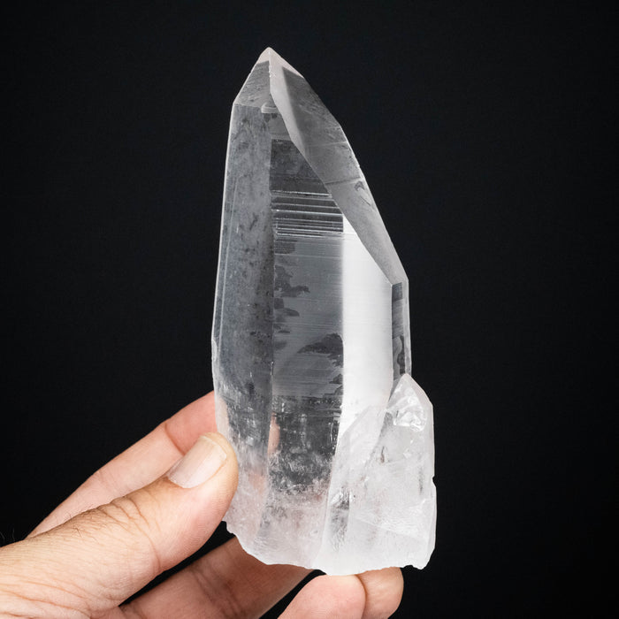 Lemurian Seed Quartz Crystal 332 g 131x55mm