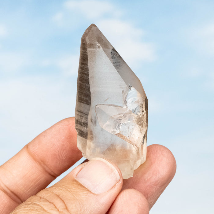 Smoky Lemurian Seed Quartz Crystal 49 g 59x28mm