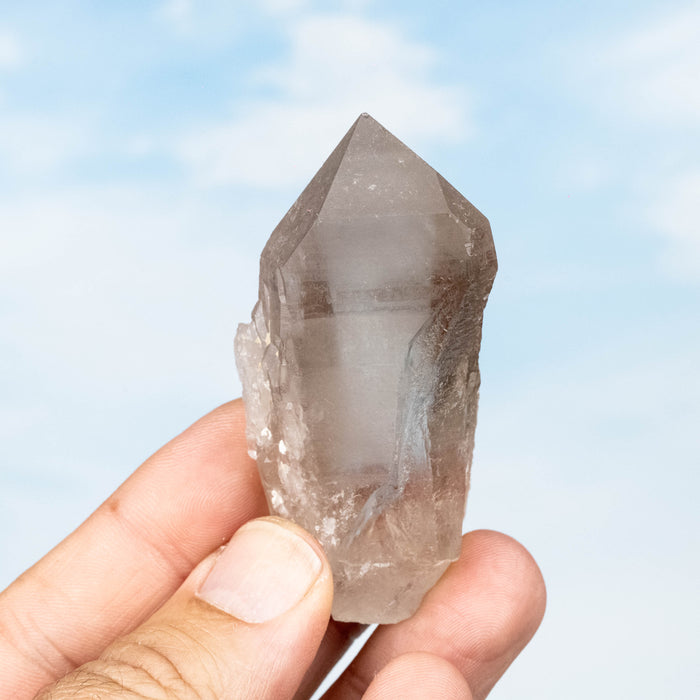 Smoky Lemurian Seed Quartz Crystal 73 g 69x37mm