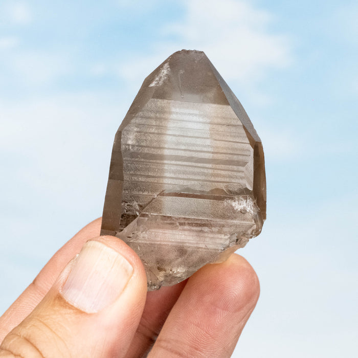 Smoky Lemurian Seed Quartz Crystal 79 g 54x44mm