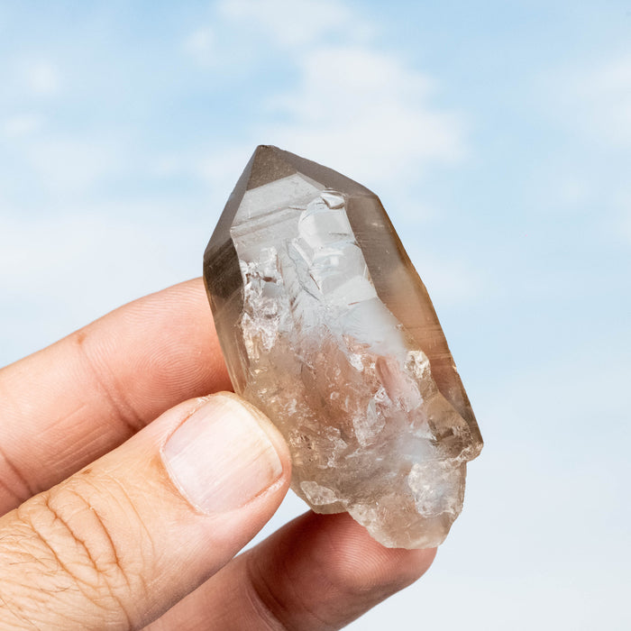 Smoky Lemurian Seed Quartz Crystal 50 g 61x28mm