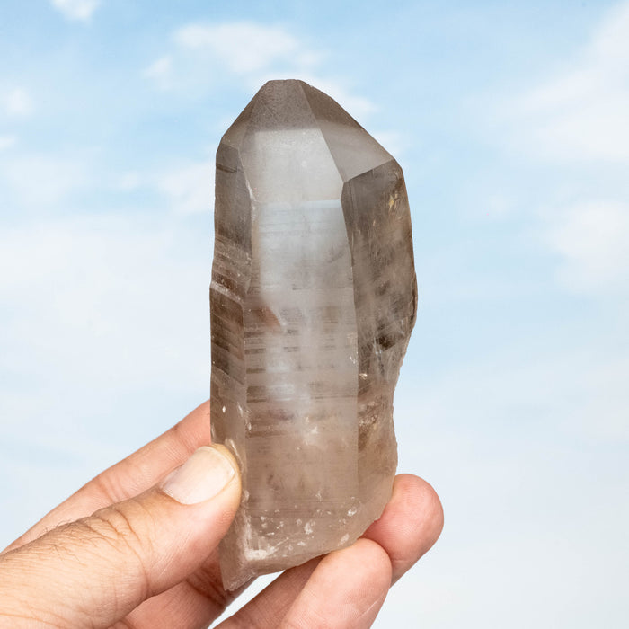 Smoky Lemurian Seed Quartz Crystal 244 g113x42mm