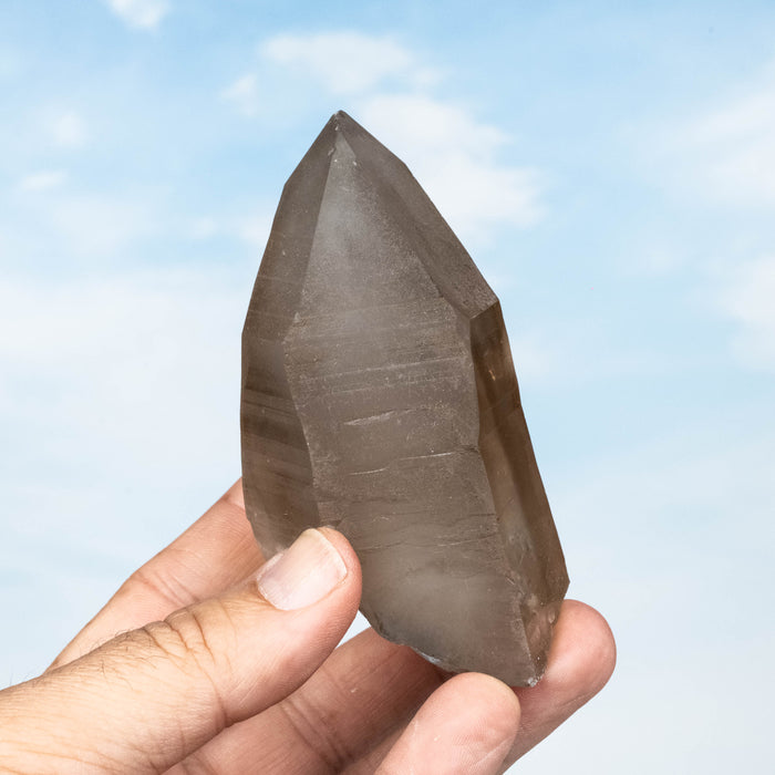 Smoky Lemurian Seed Quartz Crystal 294 g 103x56mm