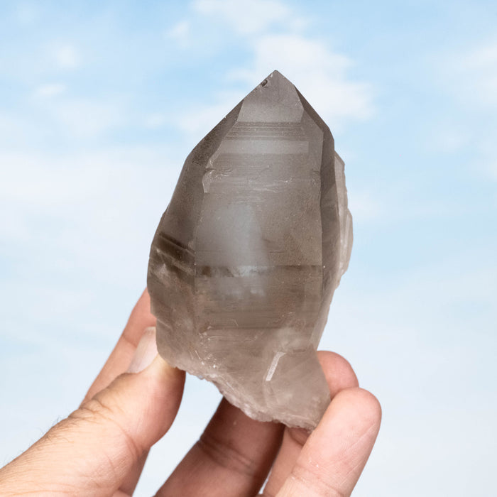 Smoky Lemurian Seed Quartz Crystal *DT 232 g 94x51mm