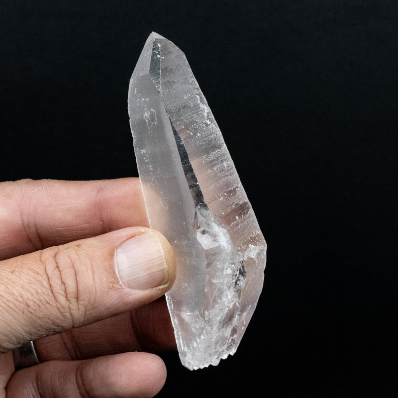 Lemurian Seed Quartz Crystal 82 g 95x34mm DT