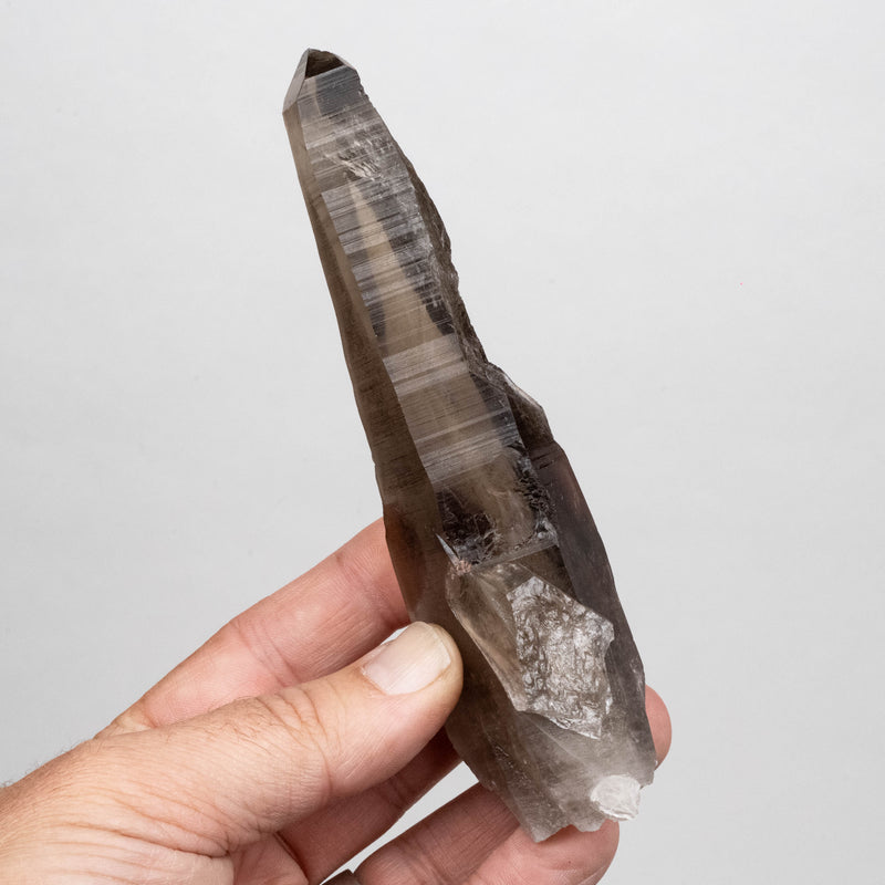 Smoky Lemurian Seed Quartz Crystal 186 g 141x38mm