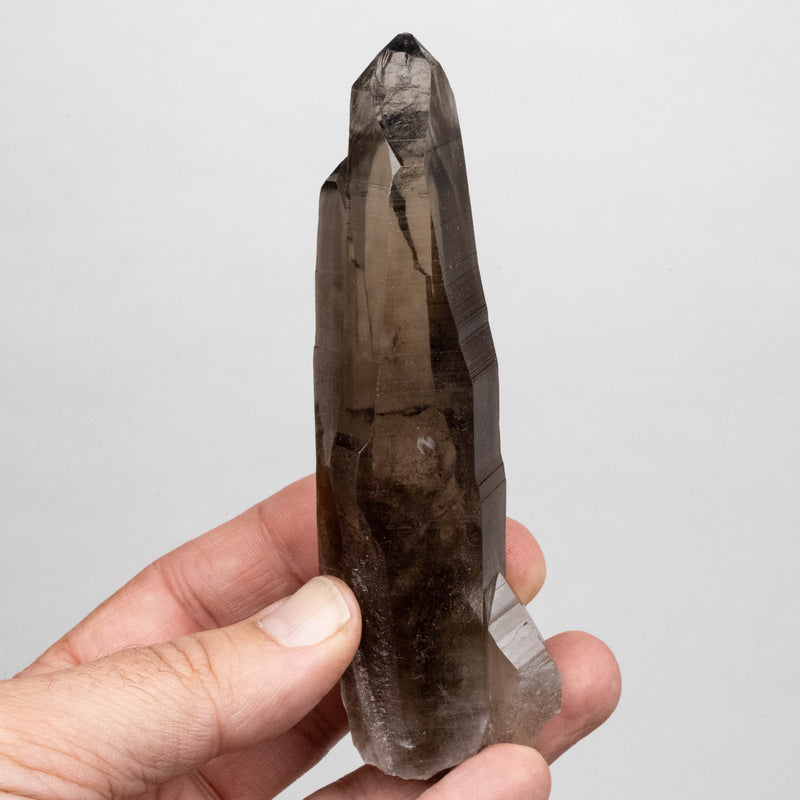 Smoky Lemurian Seed Quartz Crystal 166 g 128x32mm