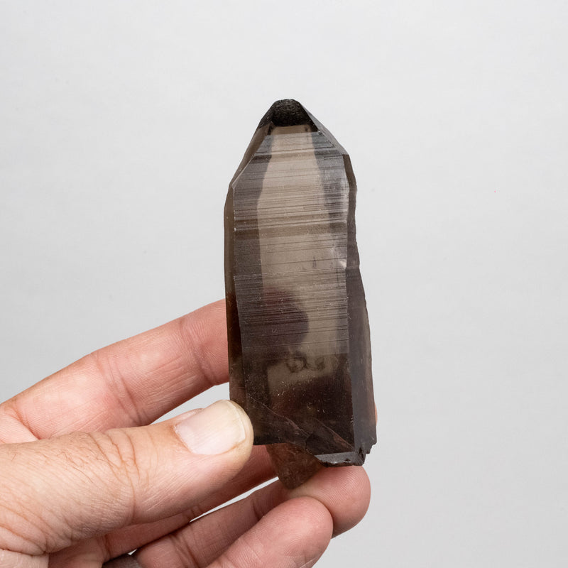 Smoky Lemurian Seed Quartz Crystal 94 g 89x33mm