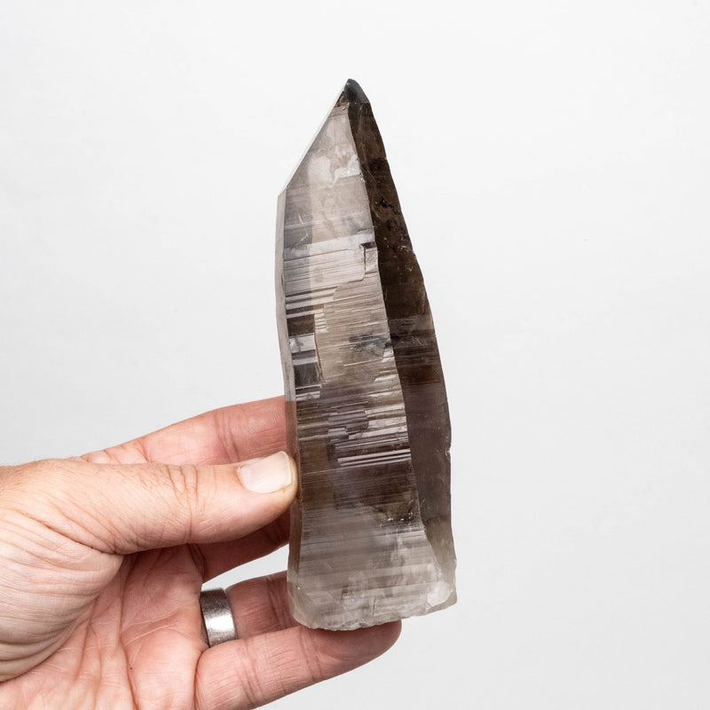 Smoky Lemurian Seed Quartz Crystal 354 g 146x46mm