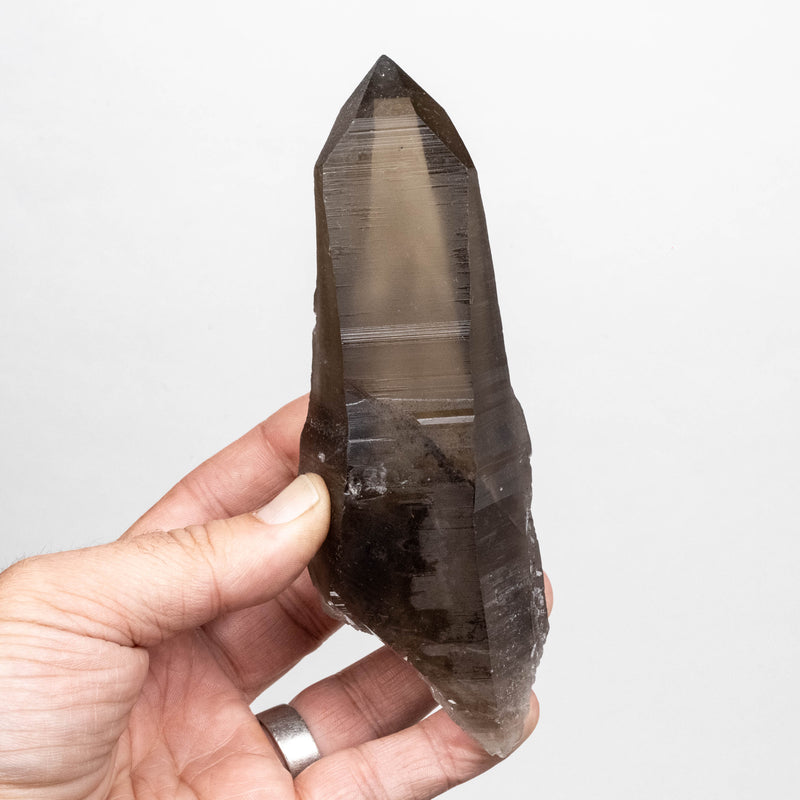 Smoky Lemurian Seed Quartz Crystal 330 g 150x52mm DT Self Healed