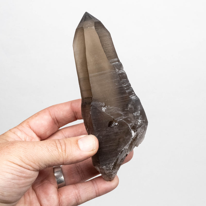 Smoky Lemurian Seed Quartz Crystal 330 g 150x52mm DT Self Healed