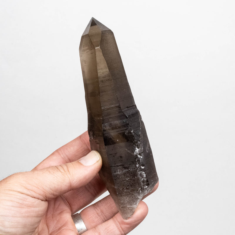 Smoky Lemurian Seed Quartz Crystal 330 g 150x52mm DT Self Healed