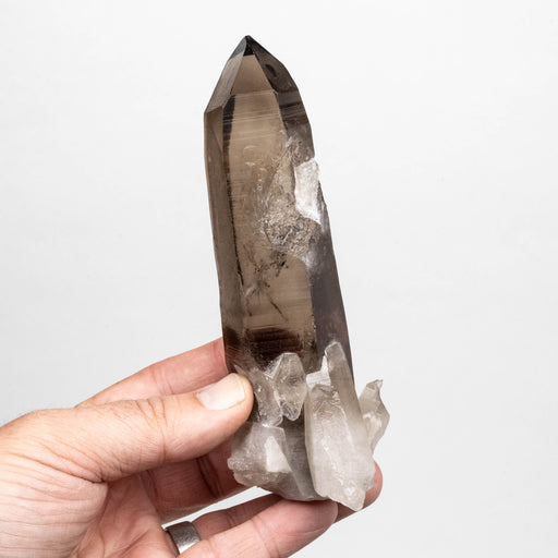 Smoky Lemurian Seed Quartz Crystal 298 g 149x54mm - InnerVision Crystals
