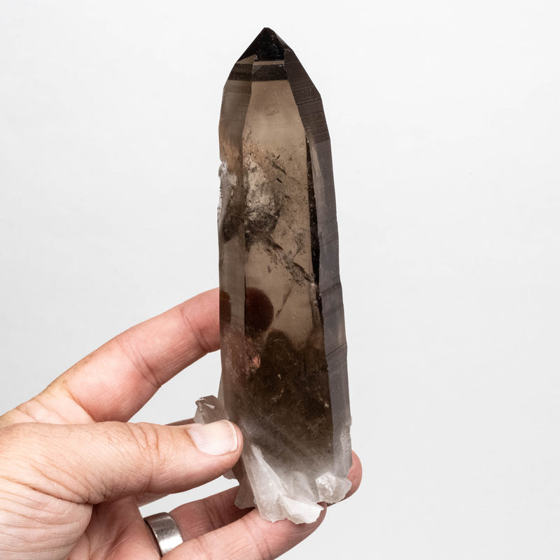 Smoky Lemurian Seed Quartz Crystal 298 g 149x54mm