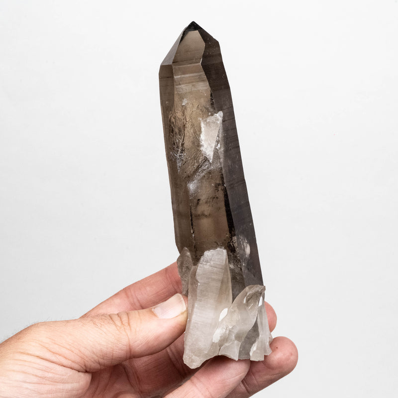 Smoky Lemurian Seed Quartz Crystal 298 g 149x54mm