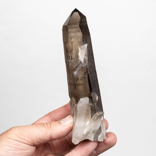 Smoky Lemurian Seed Quartz Crystal 298 g 149x54mm - InnerVision Crystals
