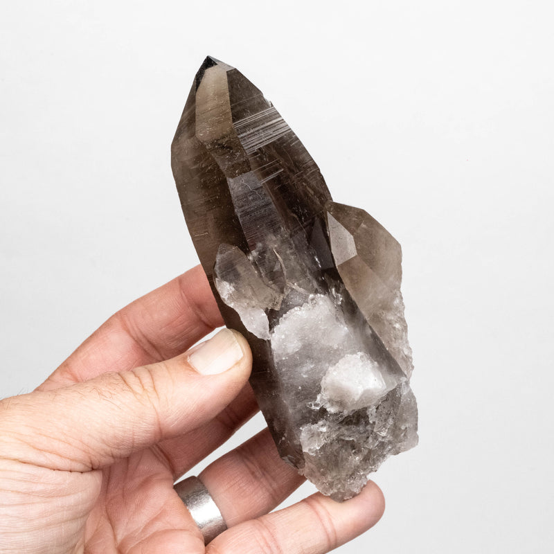 Smoky Lemurian Seed Quartz Crystal 287 g 131x54mm DT Self Healed