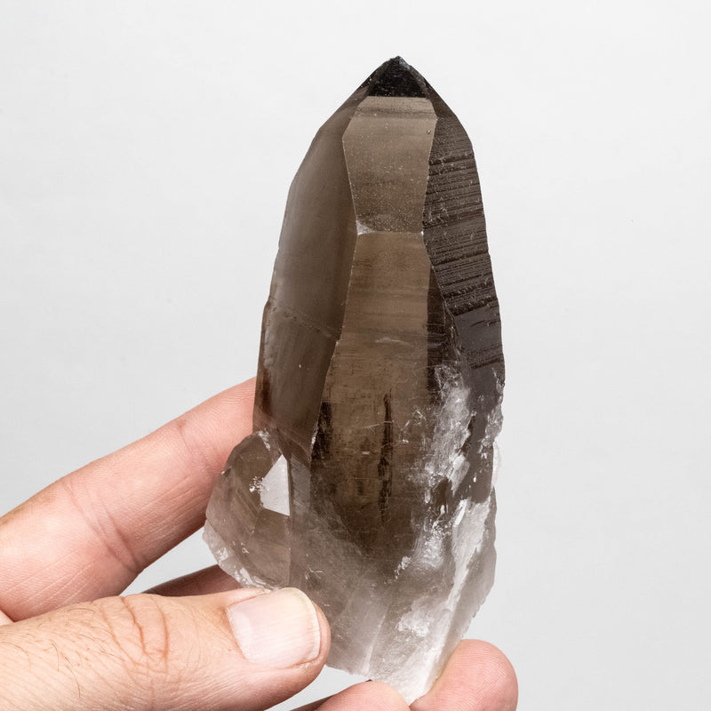 Smoky Lemurian Seed Quartz Crystal 213 g 107x52mm