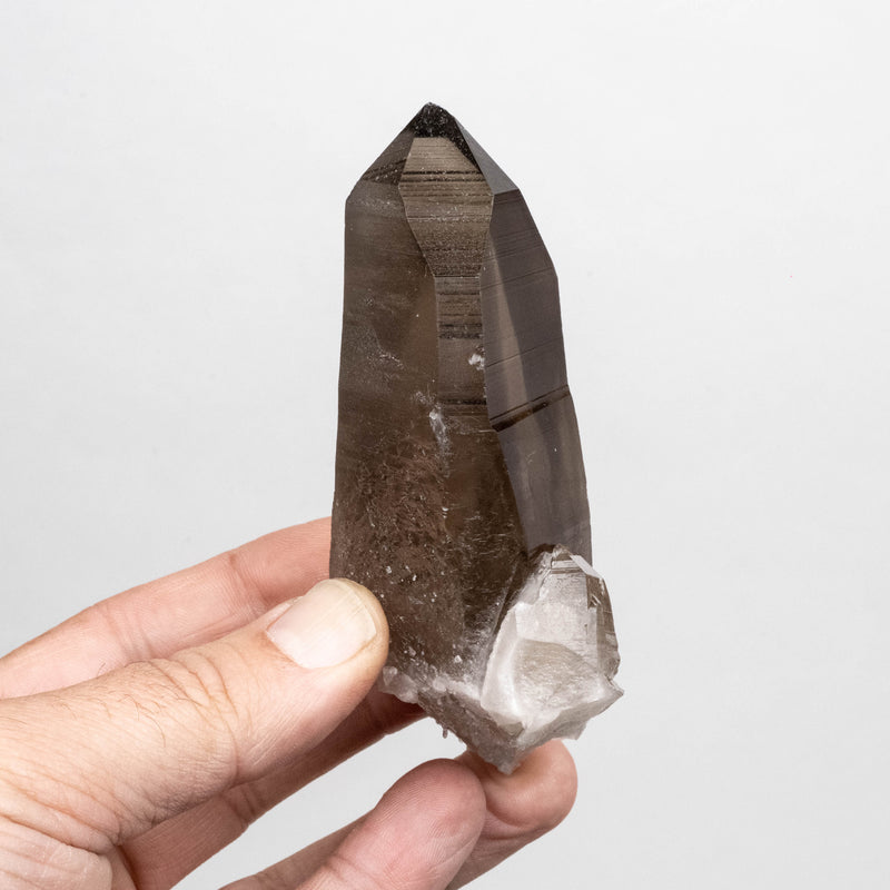 Smoky Lemurian Seed Quartz Crystal 213 g 107x52mm