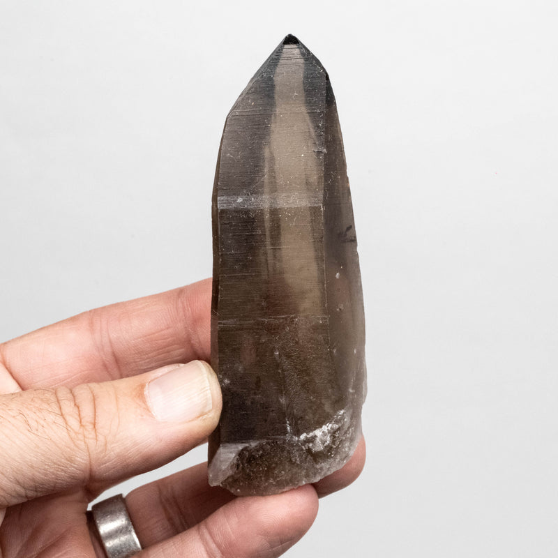 Smoky Lemurian Seed Quartz Crystal 104 g 101x33mm