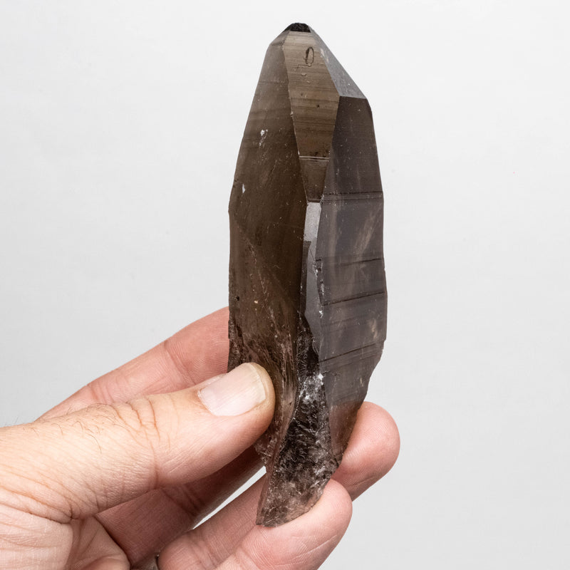 Smoky Lemurian Seed Quartz Crystal 172 g 116x47mm
