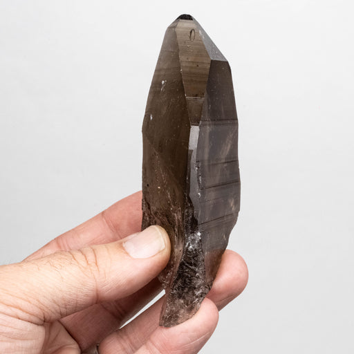 Smoky Lemurian Seed Quartz Crystal 172 g 116x47mm - InnerVision Crystals