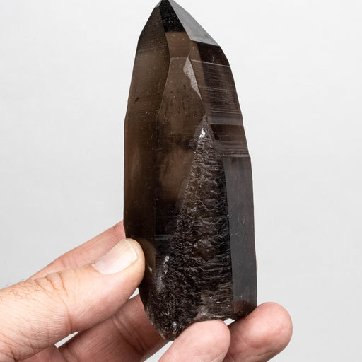 Smoky Lemurian Seed Quartz Crystal 275 g 115x47mm - InnerVision Crystals
