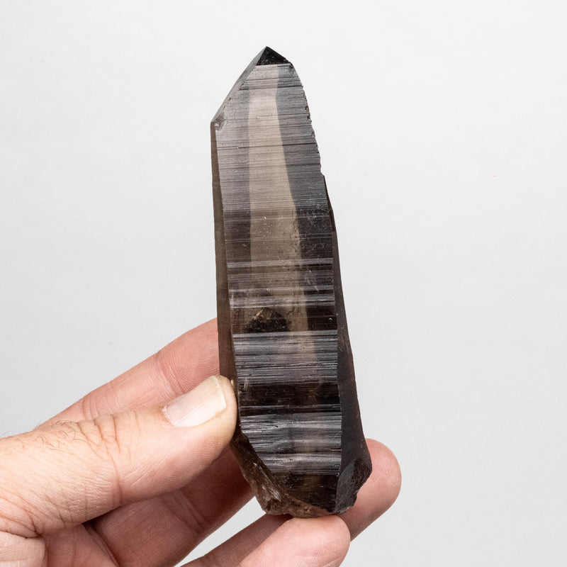 Smoky Lemurian Seed Quartz Crystal 115 g 107x32mm
