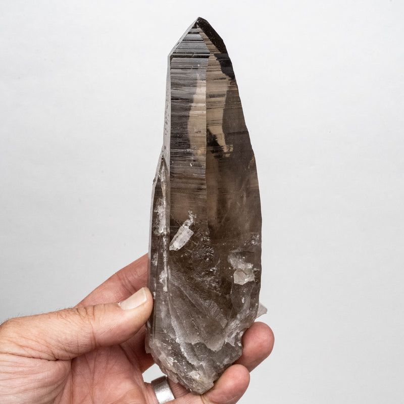 Smoky Lemurian Seed Quartz Crystal 616 g 176x59mm