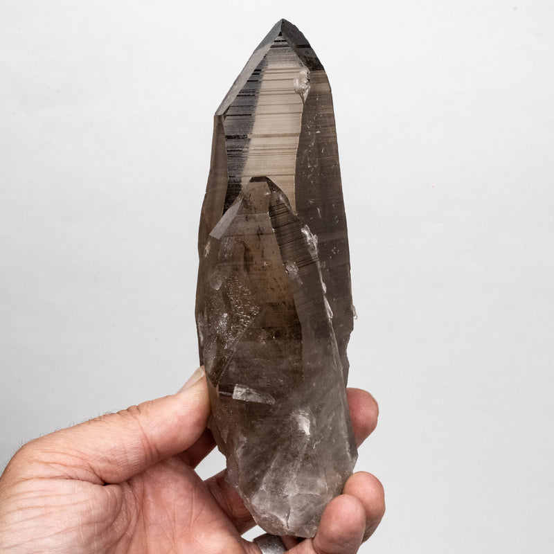 Smoky Lemurian Seed Quartz Crystal 616 g 176x59mm