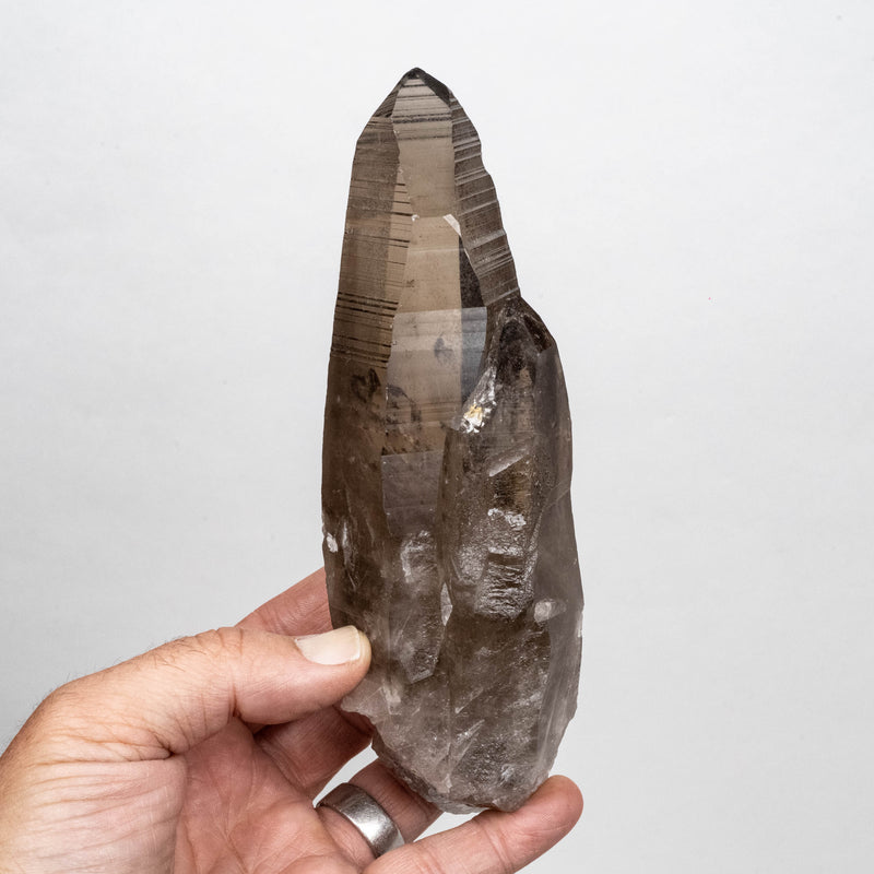 Smoky Lemurian Seed Quartz Crystal 616 g 176x59mm