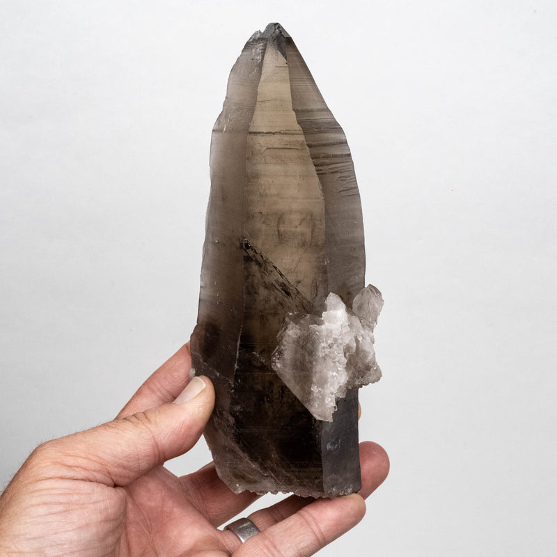 Smoky Lemurian Seed Quartz Crystal 618 g 176x66mm DT