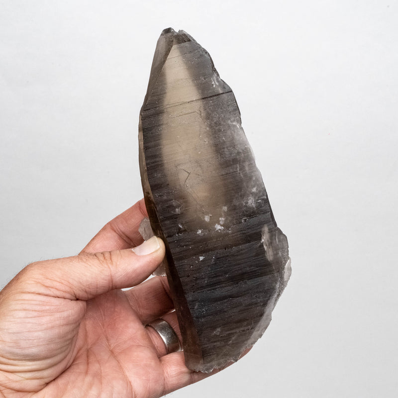 Smoky Lemurian Seed Quartz Crystal 618 g 176x66mm DT