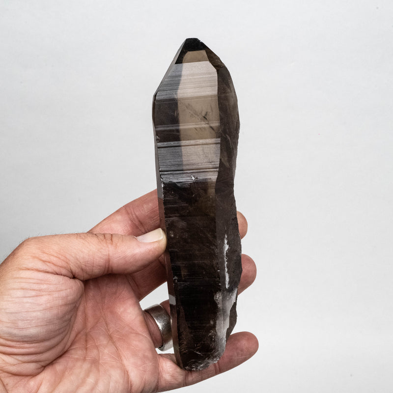 Smoky Lemurian Seed Quartz Crystal 338 g 168x42mm