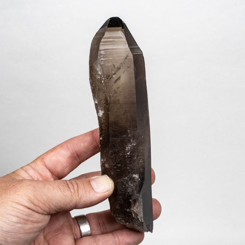 Smoky Lemurian Seed Quartz Crystal 338 g 168x42mm