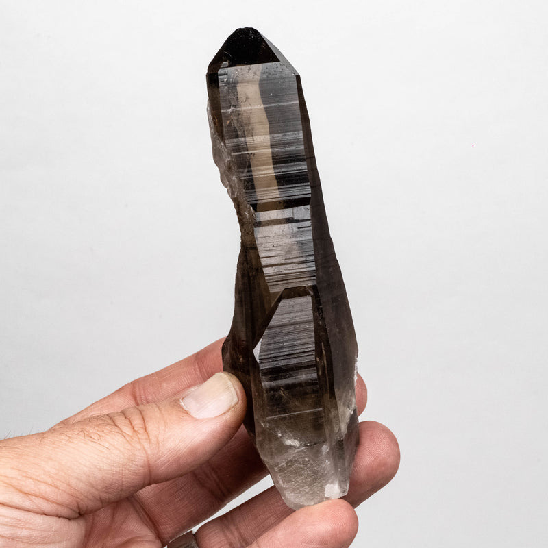Smoky Lemurian Seed Quartz Crystal 180 g 126x43mm