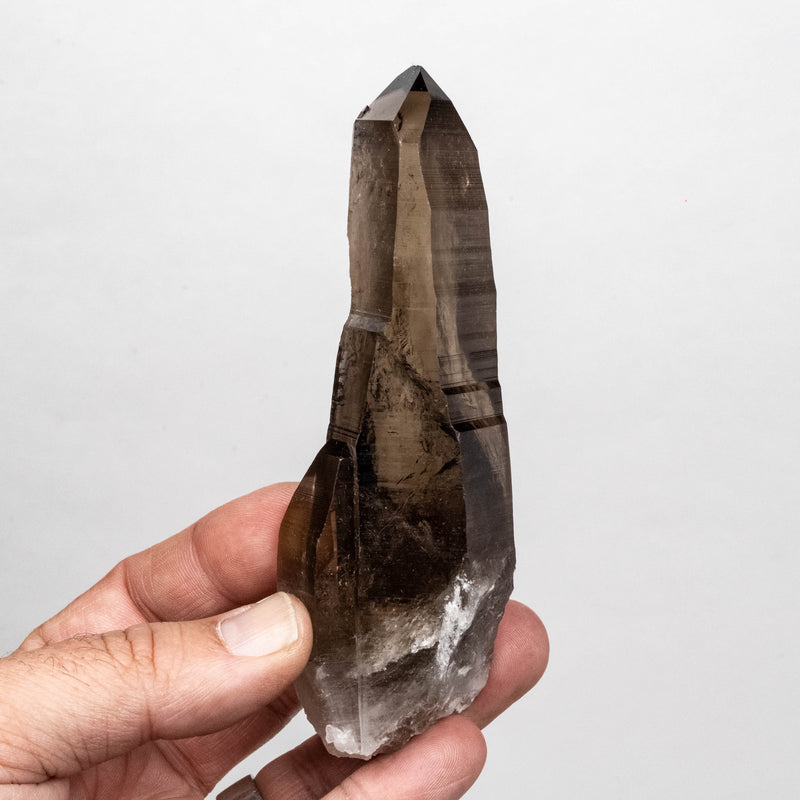 Smoky Lemurian Seed Quartz Crystal 180 g 126x43mm