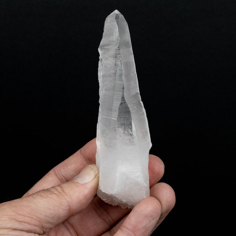 Lemurian Seed Quartz Crystal 146 g 124x40mm DT