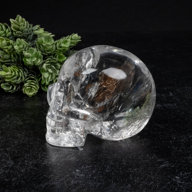 Lemurian Quartz Crystal Skull 604 g 84x73mm