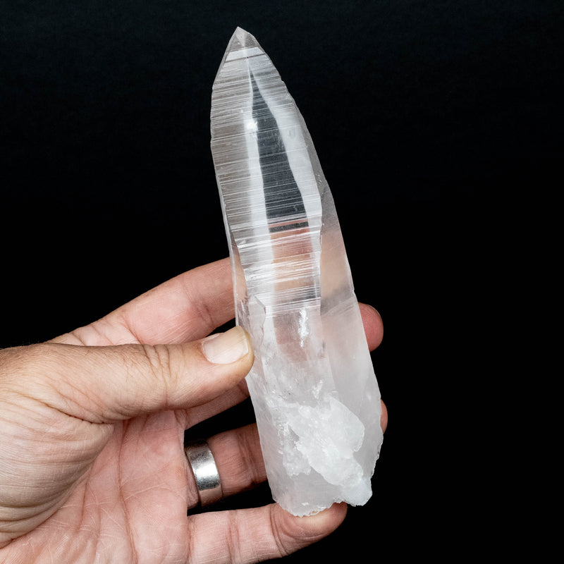 Lemurian Seed Quartz Crystal 282 g 150x43mm DT Self Healed