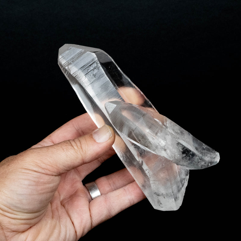 Lemurian Seed Quartz Crystal 556 g 161x71mm DT