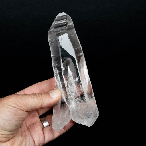 Lemurian Seed Quartz Crystal 556 g 161x71mm DT - InnerVision Crystals
