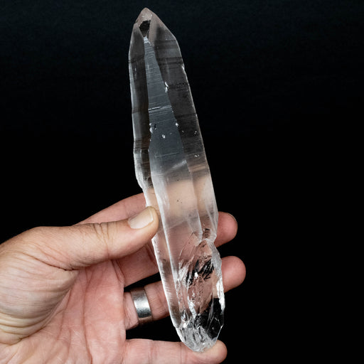 Lemurian Seed Quartz Crystal 336 g 193x40mm - InnerVision Crystals