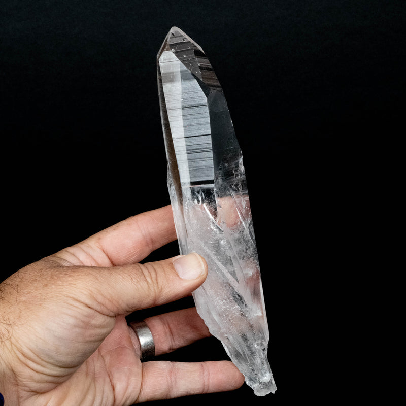 Lemurian Seed Quartz Crystal 404 g 197x45mm