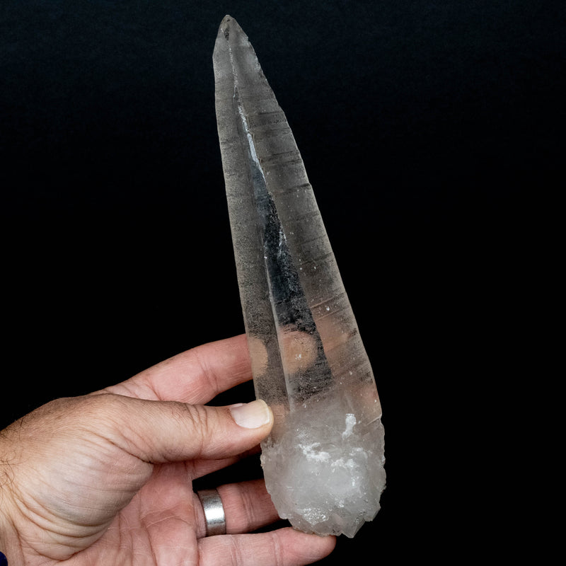 Lemurian Seed Quartz Crystal 522 g 240x56mm DT Self Healed